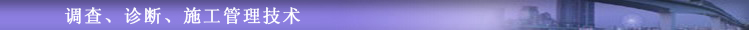 {?\?ʩg